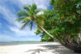 As melhores praias do Brasil